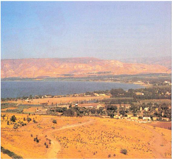 (בספר תמונה של חורף במעברה)